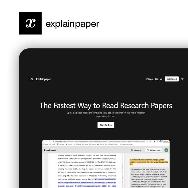 Explainpaper